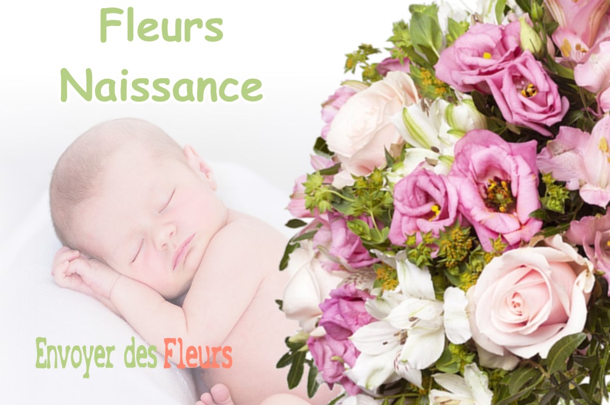 lIVRAISON FLEURS NAISSANCE à GOOS